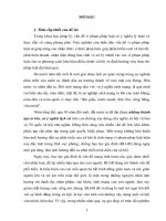 Vi phạm pháp luật về phòng, chống bạo lực gia đình (tt) 