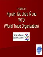 BÀI GIẢNG nguyên tắc pháp lý của WTO 
