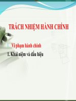 Trách nhiệm hành chính 
