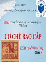 Đường lối Cách mạng của Đảng Cộng sản VN- Cơ chế bao cấp