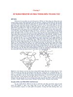 Chương V ÁP DỤNG RIBOZYM VÀ RNAi TRONG ĐIỀU TRỊ UNG THƯ