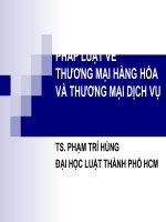 PHÁP LUẬT về THƯƠNG mại HÀNG hóa và THƯƠNG mại DỊCH vụ 
