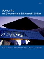 Accounting for governmental and nonprofit entities 15th edition by wilson reck and kattelus 