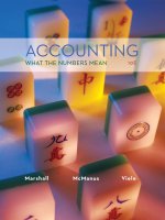 Accounting what the numbers mean 10e by marshall mcmanus and viele 