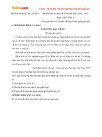 Đề thi học kì 1 môn Ngữ văn lớp 6 Phòng GDĐT Thái Thụy, Thái Bình năm học 2016  2017 