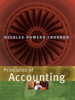 Principles of accounting 10th edition by needles powers and crosson