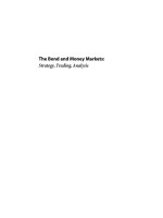 The BOND and money marketing strategy trading and analysis 