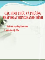 CÁC HÌNH THỨC và PHƯƠNG PHÁP HOẠT ĐỘNG HÀNH CHÍNH 