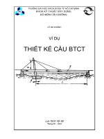 Ví dụ thiết kế cầu bê tông cốt thép theo AASHTO 2007 và ACI.318 (đại học Bách Khoa TPHCM)