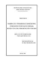 Nghiên cứu tình hình suy dinh dưỡng ở trẻ dưới 5 tuổi tại Xã Chỉ Đạo – Huyện Văn Lâm – Tỉnh Hưng Yên. (LV tốt nghiệp)