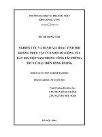 Nghiên cứu và đánh giá hoạt tính đối kháng thực vật của một số giống lúa bản địa Việt Nam trong công tác phòng trừ cỏ dại trên đồng ruộng (LV tốt nghiệp)