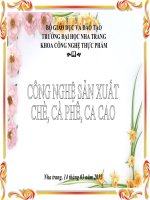 Hoạt tính sinh học và các hoạt tính chống oxy hóa của flavanols trong chè