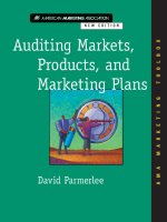 Auditing markets products and marketing plans by david parmerlee
