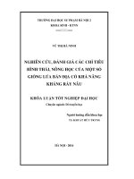 Nghiên cứu, đánh giá các chỉ tiêu hình thái nông học của một số giống lúa bản địa có khả năng kháng rầy nâu (LV tốt nghiệp)