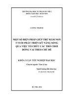 Một số biện pháp giúp trẻ mầm non 5 tuổi phát triển kỹ năng sống qua việc tổ chức các trò chơi đóng vai theo chủ đề (LV tốt nghiệp)