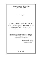 Kết quả khảo sát giá trị canh tác và giá trị sử dụng của 10 dòng lúa tẻ có triển vọng – vụ xuân 2015 (LV tốt nghiệp)