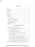 SỬ DỤNG SBA16 TỔNG HỢP TỪ TRO TRẤU ĐỂ XỬ LÍ MỘT SỐ CHẤT HỮU CƠ ĐỘC HẠI TRONG NƯỚC