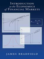 Introduction to the economics of financial markets by james bradfield