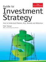 Guide to investment strategy by peter stanyer