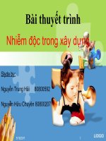 Bài thuyết trình: Nhiễm độc trong xây dựng (Đại học Bách KHoa TPHCM)