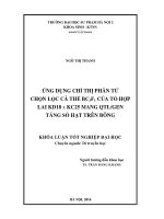 Ứng dụng chỉ thị phân tử chọn lọc cá thể BC3F1 của tổ hợp lai KD18 x KC25 mang QTLgen tăng số hạt trên bông (LV tốt nghiệp)