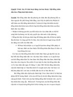 Đề cương luật hiến pháp