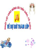 giáo án dạy học tích hợp môn Toán năm học: 2016 2017Tiết 28:                             LUYỆN TẬP – Hình học 8 ( Xác định diện tích của hình chữ nhật, của tam giác vuông )