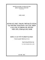 Đánh giá thực trạng trẻ bị sâu răng tại trường Mầm non Cao Lâm, thôn Cao Lâm, xã Phong Dụ, huyện Tiên Yên, tỉnh Quảng Ninh (LV tốt nghiệp)