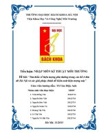 Tiểu luận nhập môn kĩ thuật môi trường