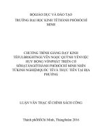 Việc huy động vốn phát triển cơ sở hạ tầng ở thành phố hồ chí minh nhìn từ kinh nghiệm quốc tế và thực tiễn tại địa phương