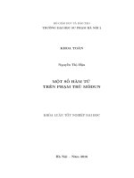 Một số hàm tử trên phạm trù môđun 