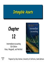 Intermediate accounting 12th edition kieso warfield chapter 12
