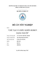 Che Tao Va Dieu Khien Robot Dang Nguoi