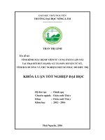 Tình hình mắc bệnh viêm tử cung ở đàn lợn nái tại trang trại bùi huy hạnh, xã tái sơn   huyện tứ kỳ   tỉnh hải dương và thử nghiệm một số phác đồ điều trị 