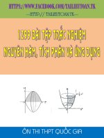 1299 câu nguyên hàm, tích phân và ứng dụng