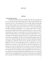 Tội đánh bạc và gá bạc trong luật hình sự Việt Nam