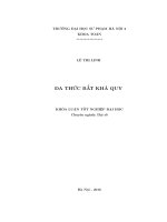 Đa thức bất khả quy 