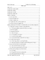 Xây dựng chiến lược kinh doanh cho công ty cổ phần đầu tư và công nghệ HVC 