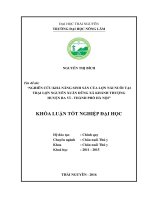 Nghiên cứu khả năng sinh sản của lợn nái nuôi tại trại lợn nguyễn xuân dũng xã khánh thượng   huyện ba vì   thành phố hà nội 