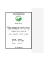 Đánh giá tình hình mắc bệnh viêm tử cung ở đàn lợn nái ngoại nuôi tại trại lợn nái ngoại xã tân thành   huyện phú bình   tỉnh thái nguyên và thử nghiệm một số phác đồ điều trị