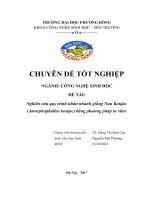 đề cương khóa luận tốt nghiệp Nghiên cứu quy trình nhân nhanh giống Nưa Konjac (Amorphophallus konjac ) bằng phương pháp in vitro