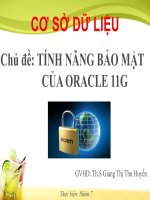 TÍNH NĂNG BẢO MẬT CỦA ORACLE 11G
