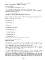 Biện pháp thi công đường giao thông và các hạng mục phụ tạm 