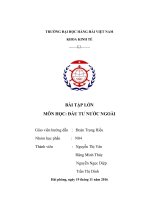 Đầu tư nước ngoài no4