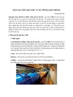 MÁY GIA TỐC HẠT LHC VÀ SỰ TÌM RA HẠT HIGGS