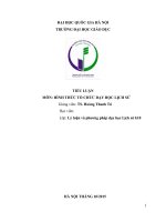 Tiểu luận   hình thức TCDH  vân