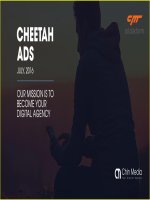 5  cheetah ads   chin media 2016 12 15 12 01 52