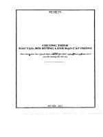 CHƯƠNG TRÌNH đạo tạp, bồi DƯỠNG LÃNH đạp cấp PHÒNG 