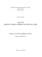 Một số phương trình nghiệm nguyên đặc biệt (LV tốt nghiệp)