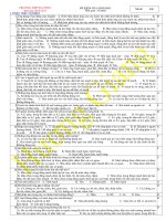 De KT 1t sinh 11 k2 (1) 